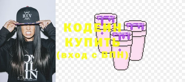 амф Няндома