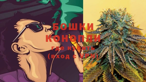 крисы Нягань