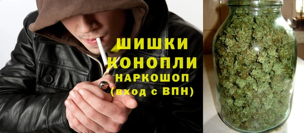 амф Няндома