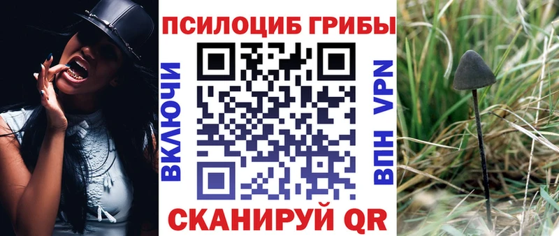 Псилоцибиновые грибы прущие грибы  Новомосковск 