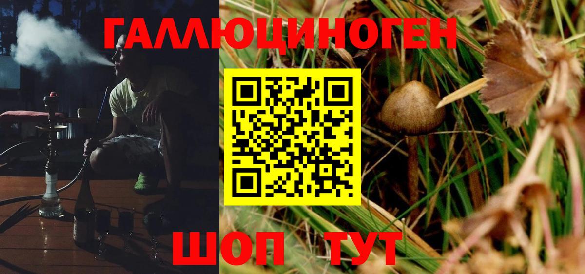 Галлюциногенные грибы мухоморы  Новомосковск 