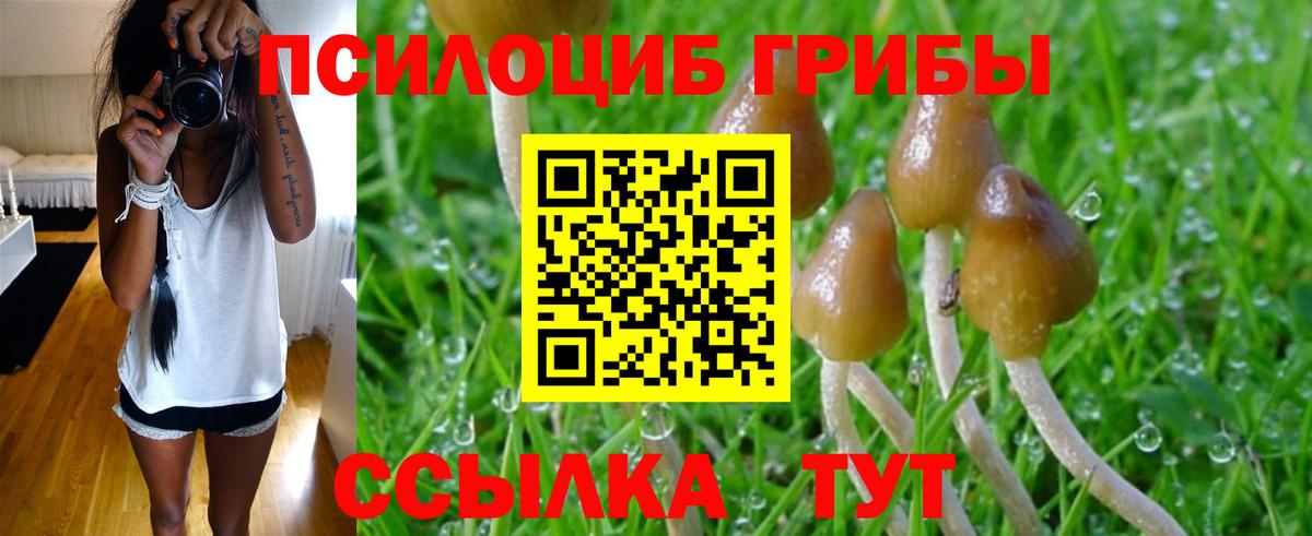 Новомосковск  Галлюциногенные грибы Magic Shrooms  Вход с VPN 